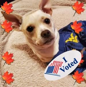 Meet your Posher, Linda